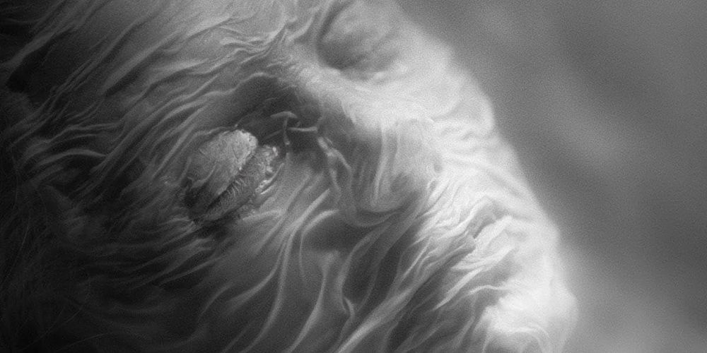 Інше / Else (Франція, 2024)