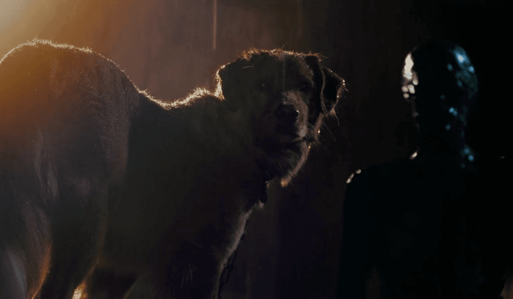 Хороший хлопчик / Good Boy (США, 2025)