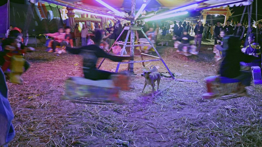 Повернення додому / Hui Jia (2025)